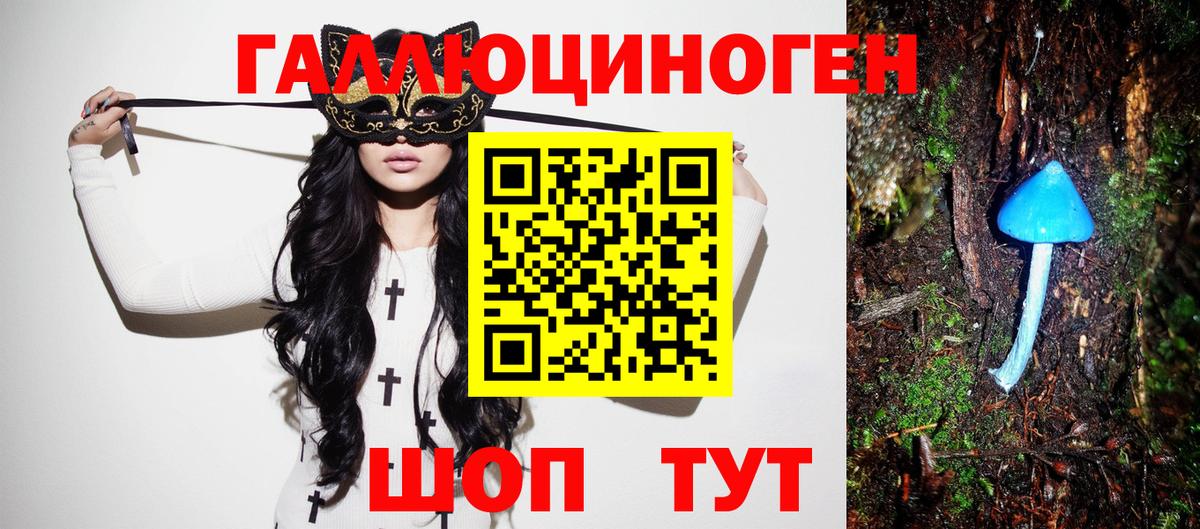 Хасавюрт  Псилоцибиновые грибы ЛСД  Вход с VPN 